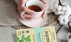 Alvita Spearmint Tea: A Refreshing Herbal Delight