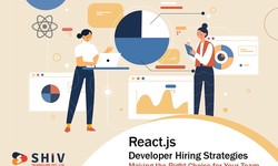 ReactJS Developer Hiring Strategies Making the Right Choice for Your Team