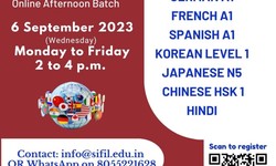 A Journey of Language and Culture: Discovering Japanese and French Courses