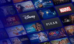 What precisely is Disneyplus.com login?