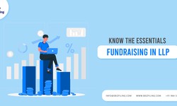 A comprehensive guide to Fundraising in LLPs by Partners