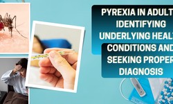 Pyrexia in Adults: Identifying Underlying Health Conditions and Seeking Proper Diagnosis