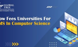 5 Low Fees Universities For MS in Computer Science