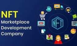 Empowering Creators: The Role of an NFT Marketplace Development Company