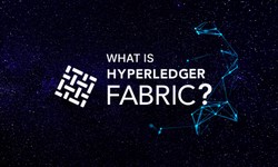 Hyperledger Fabric Network Setup: Deploying Nodes for a Decentralized Ledger