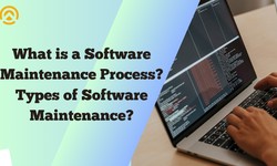 What is a Software Maintenance Process? Types of Software Maintenance?