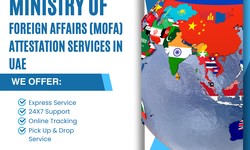 Understanding the MOFA attestation process for academic documents