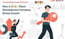 Unlocking Business Potential: How a MEAN Stack Development Company Drives Growth