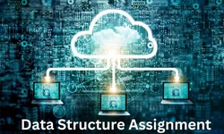 How 5 Things Will Change The Way You Approach Data Structure Assignment