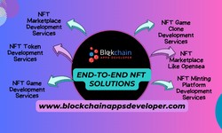 Which is the Best NFT Development Solutions Provider in the World?