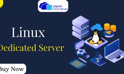 Reliable Linux Dedicated Server for Optimal Website Performance
