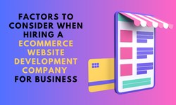 Top Factors to Consider When Hiring a  eCommerce Website Development Company For Business