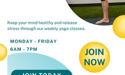 Join Wellness Yoga Classes