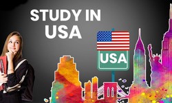 How Much Percentage Is Required For A USA Study Visa?