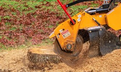 Stump Grinding OKC: Enhancing Your Landscape With Professional Tree Service In Oklahoma City