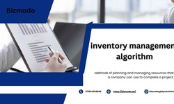 Optimizing Inventory Management: Algorithms for Efficient Control and Profitability