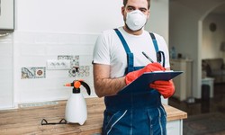 DIY Pest Control vs. Professional Services: Which One is Right for You?