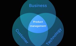 Product Management in Digital Transformation