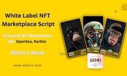 NFT Marketplace Script to create your own NFT Marketplace