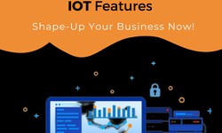 How to develop an IoT Application?