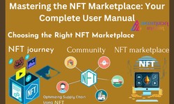"Mastering the NFT Marketplace: Your Complete User Manual"