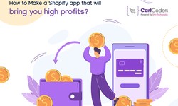 How to Make a Shopify app that will bring you high profits?