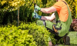 From Blank Canvas to Breathtaking Garden: Landscaping in Penrith