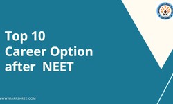 Top Career Options After Clearing NEET
