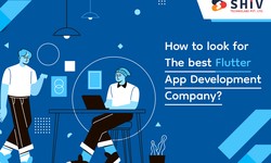 How to look for the best Flutter App Development Company?
