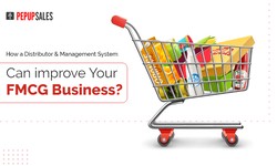 How a Distributor Management System Can Improve Your FMCG Business