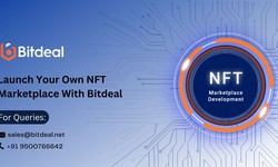 Explore The Perks Of Launching A Cross-Chain NFT Marketplace