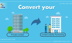 Everything you need to know to convert your Pvt. Ltd. to an LLP