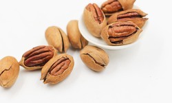 Can Dogs Eat Pecans? A Comprehensive Guide to Nut Consumption for Your Canine Companion