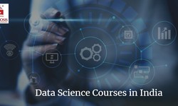 Empowering Your Career: The Roadmap to Becoming a Data Science Pro in India