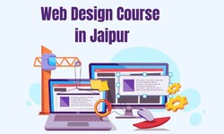Which institute Best Web Design Course Provider in Jaipur?
