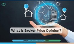 Broker Price Opinion: The In-Depth Analysis and Its Implication in Real Estate
