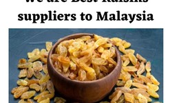 We are Best Raisins suppliers to Malaysia