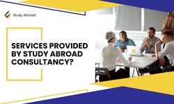 What services do Study Abroad consultancy provides?