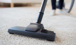 What Makes Master Carpet Cleaning's Services Stand Out in Penrith?