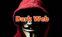 Theory of the Dark Web