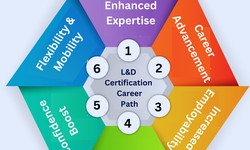 How an Learning and Development Certificate Can Transform Your Career Path