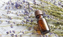 Top 11 essential oils and there Health Benefits