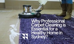 Why Professional Carpet Cleaning is Essential for a Healthy Home in Sydney?