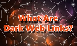 Exploring Dark Web Websites: Everything You Need to Know