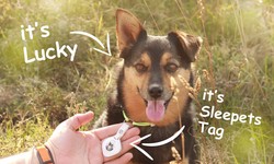 Sleepets Tag Review: Dog Tracker with Apple FindMy Support and Without Subscription