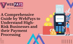 A Comprehensive Guide by WebPays to Understand High-Risk Businesses and their Payment Processing