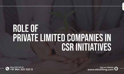 The Impact of CSR On Pvt. Ltd. Companies
