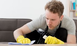 Beyond Clean: The Ultimate Guide to Commercial Office Cleaning Companies
