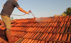 Roof Restoration: Revive Your Roof's Glory