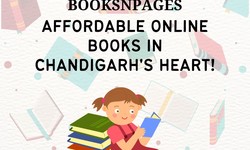 Unveiling BooksNPages: Affordable Online Books in Chandigarh's Heart!